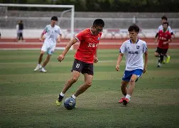 足球赛中有哪些精彩的球艺